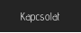Kapcsolat
